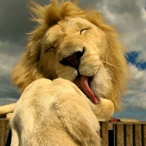 Meet your Posher, Ricardo